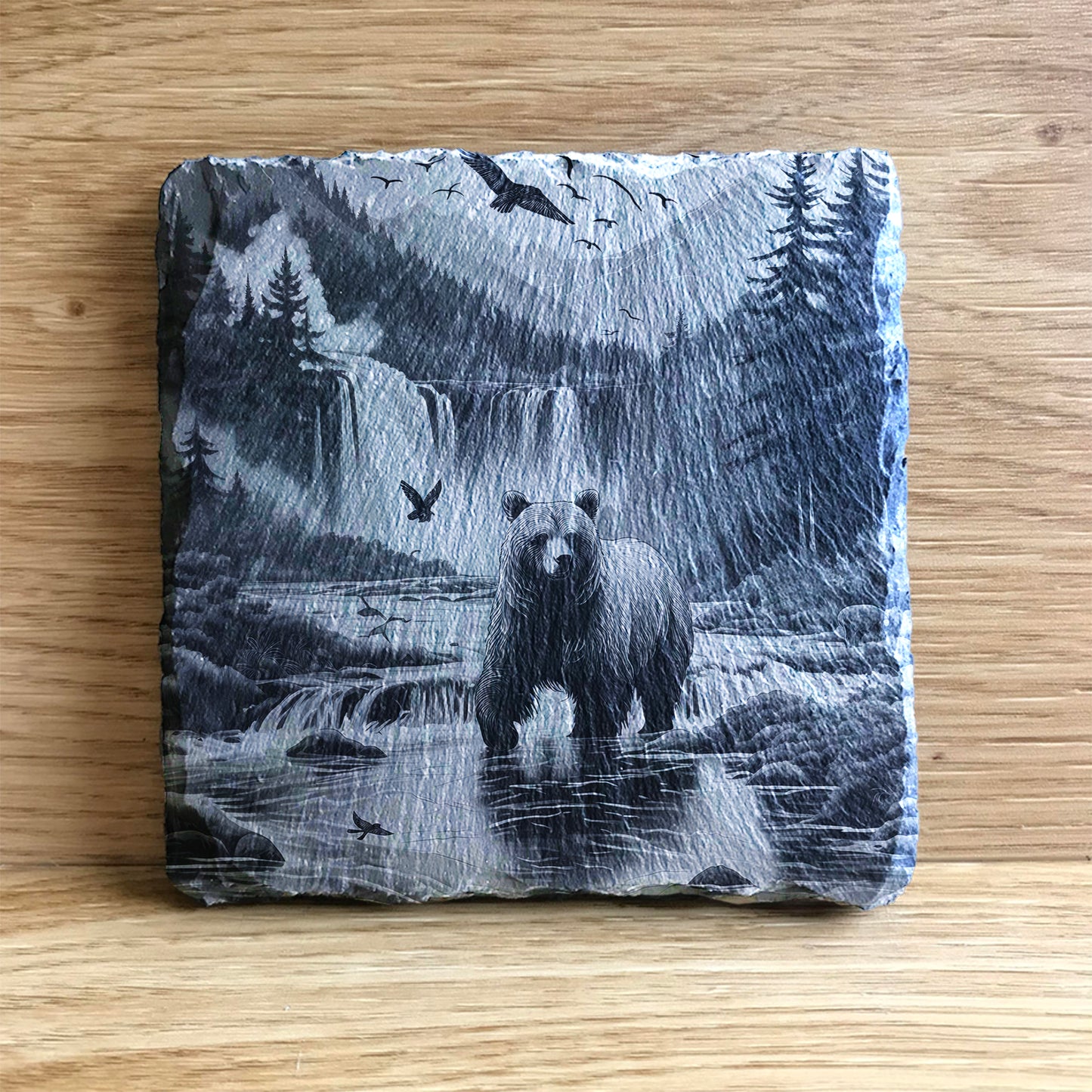 Grizzly bear looking for fish in a stream